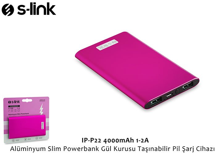 Promosyon S-link IP-P22-GÜL KURUSU