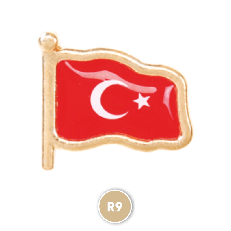 Rozet  Türk Bayrağı